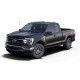 Ford F-150 2021+