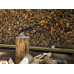 Топор-колун Fiskars X25