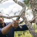 Пила складная Fiskars Plus SW69