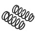 Задние усиленные пружины OME для Toyota 4Runner 2003-2010 (комплект, +50 мм)