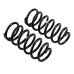 Задние усиленные пружины OME для Toyota 4Runner 2003-2010 (+150 кг, комплект, +50 мм)